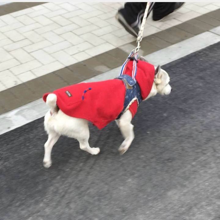 Fe764bd9 a8b4 478c 8bd1 5dd8a6b4f36d 1770857463364