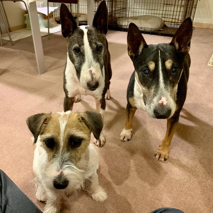 Fe765e96 19c0 4e9d b291 11e072754563 1603888794536