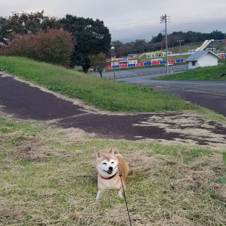 Fe7731cd bc93 4d80 8fc8 de386607b62e 1729150283805