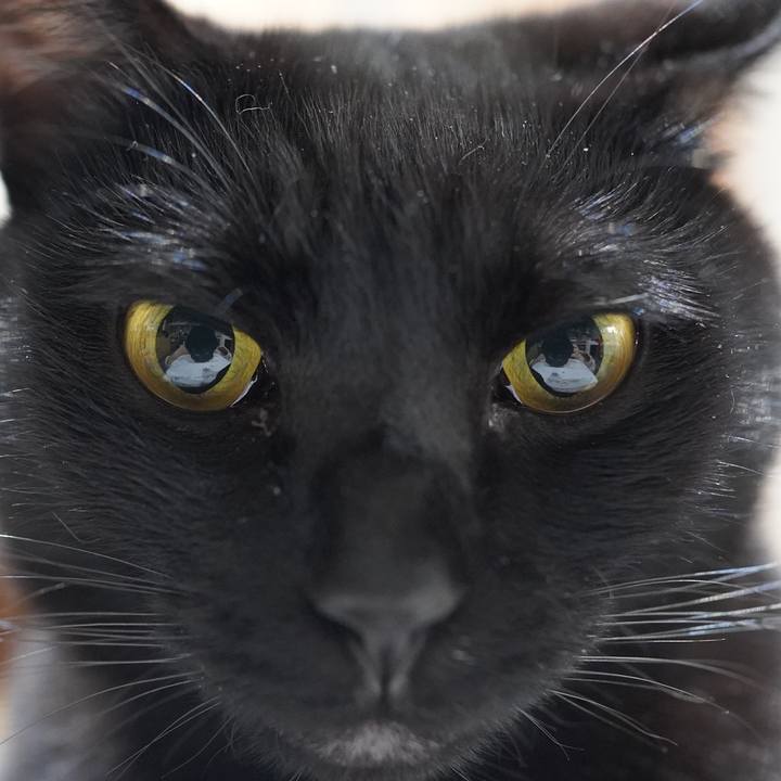 Fe775176 640f 427b af6e 340d1254a8e8 1614479703079