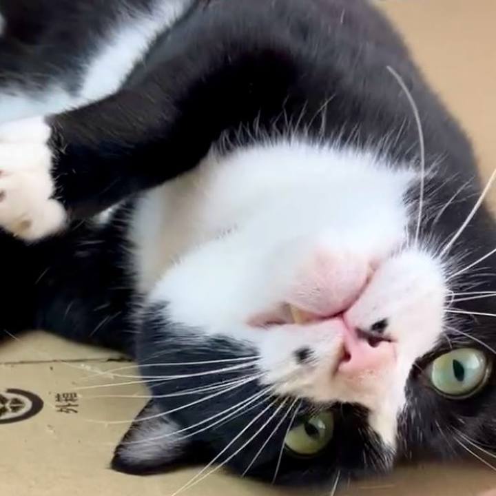 Fe7755fa 2ab6 44c2 ab4a 96545151ecf8 1730785612730