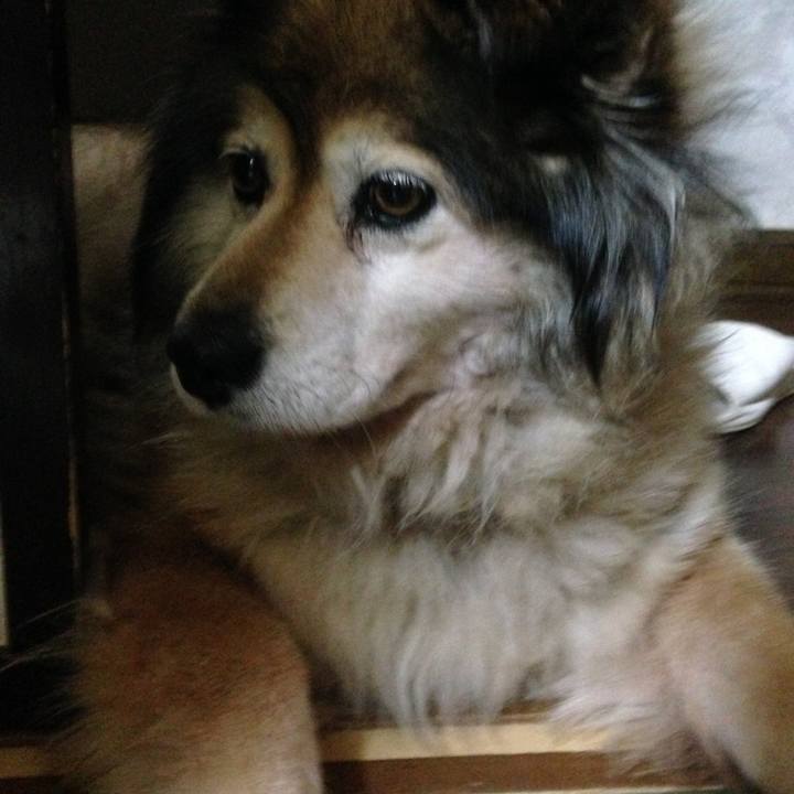 Fe7784f0 fa69 42c0 8215 ec9f151883ea 1603916616053