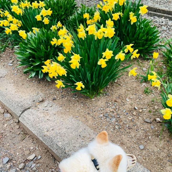 Fe77cc18 8cb3 4f1c 8e4a 0b808be2eca0 1621114762456