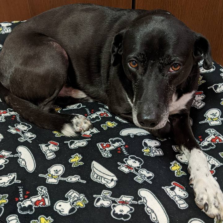 Fe77e6e2 379d 4675 84b6 66db3a9a8dad 1701774370274