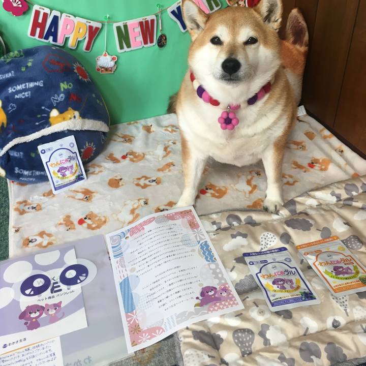 Fe77eac4 a3b3 4a86 9863 1a26b7b28131 1644201916835