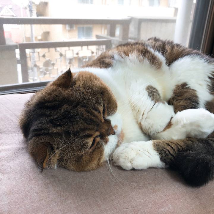 Fe781311 76d1 4c6a 843f 5e85aec67ca1 1546779612470