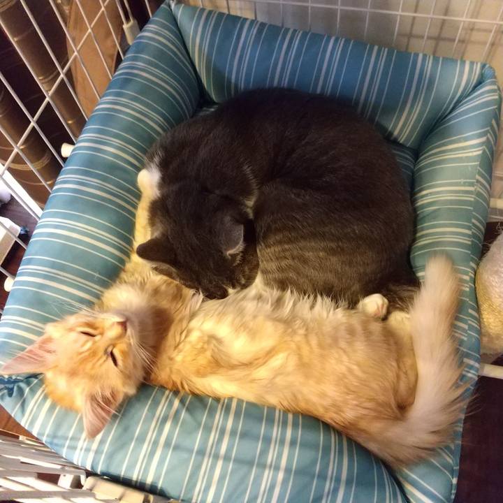 Fe781981 1d86 487a ab78 cc6927023672 1607152025948