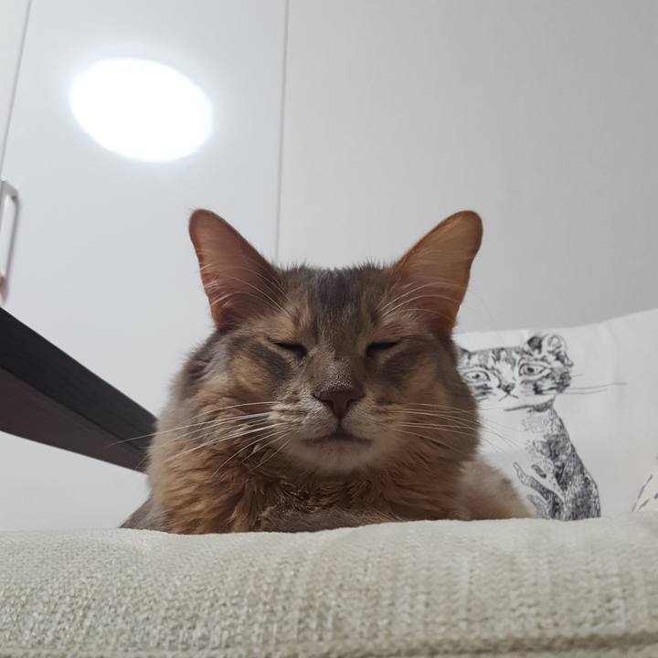 Fe785974 92bb 407e 9b76 a34fa06d58ca 1587903147037