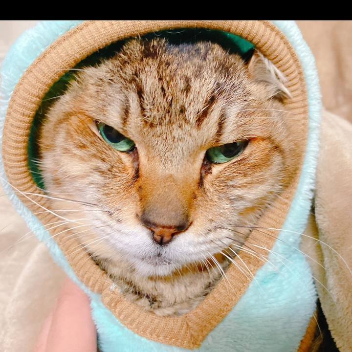 Fe786dfa 6cd2 41df 8b67 58f352e25c31 1697889203685