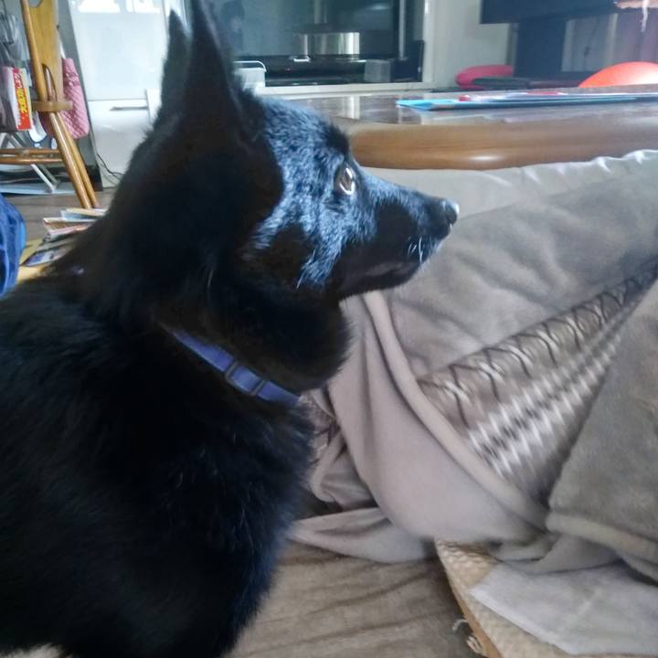 Fe787a81 0e3b 406d b31b 8b3fdc1c82c4 1551004569334