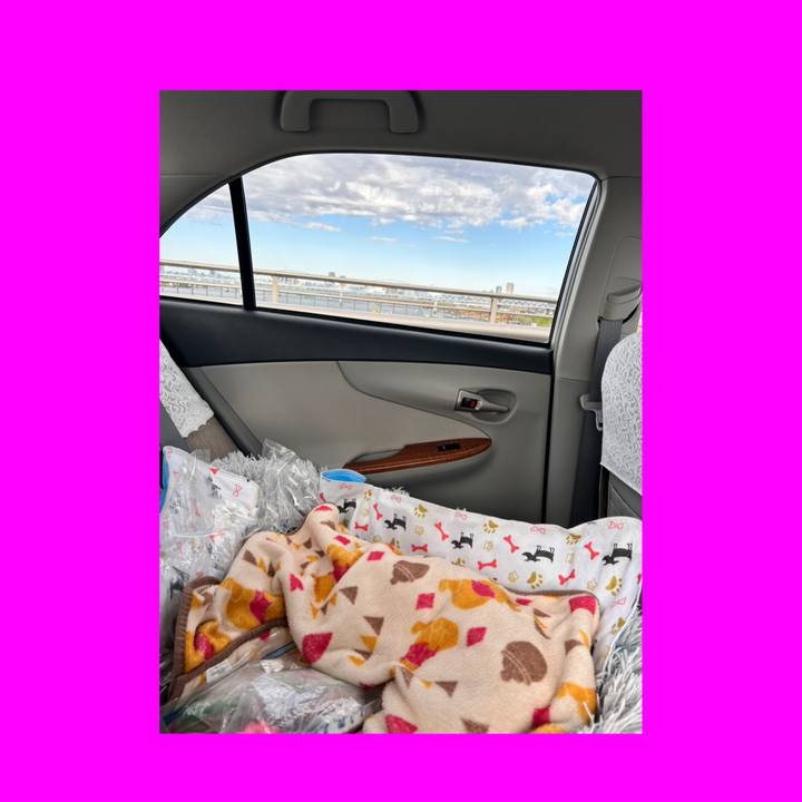 Fe789711 c395 4f7b 9390 1c9e60e9f9f2 1766399888759