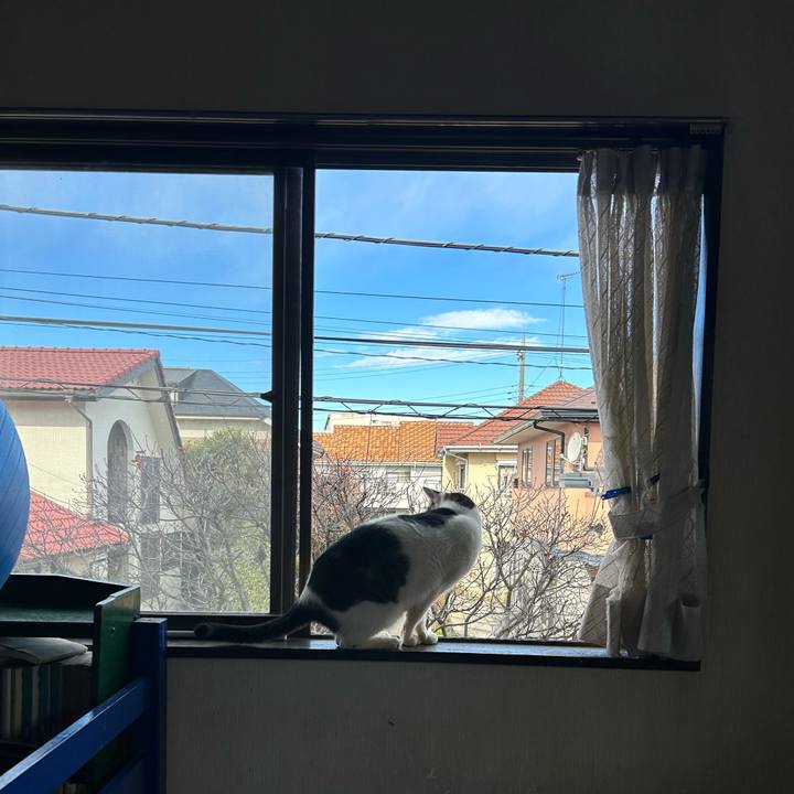 Fe78e802 46f0 40e3 9128 33495fb89fe1 1733659339414