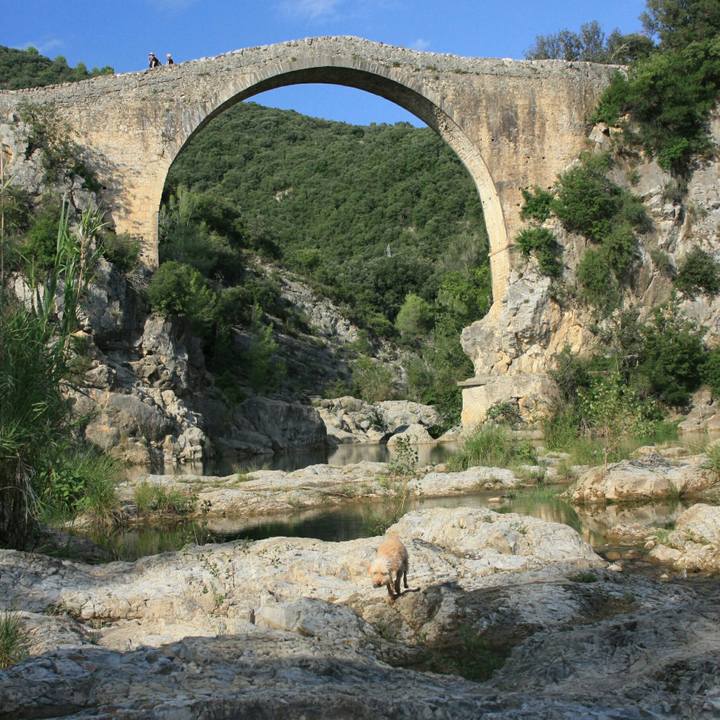 Fe78e81e bc29 4ad0 854e 122a4876dd80 1535910706172