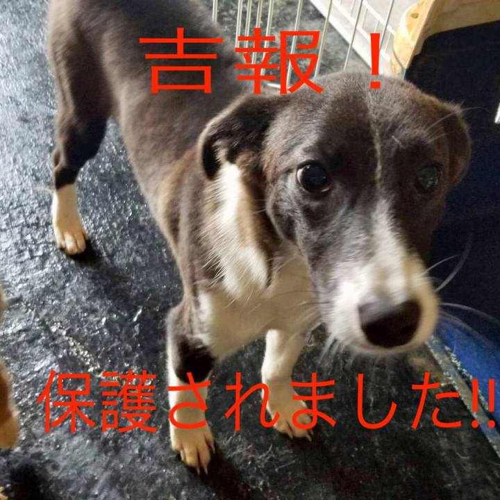 Fe7915d5 2dbc 416b 8d94 32851d45e623 1547713220581