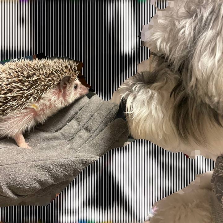 Fe79220d 556b 4efc adef add8e7fbef9f 1645456001835