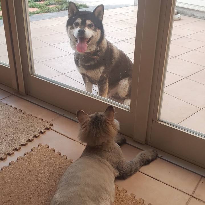 Fe794963 bb10 4020 a95f 861ffd9645a1 1564527491678