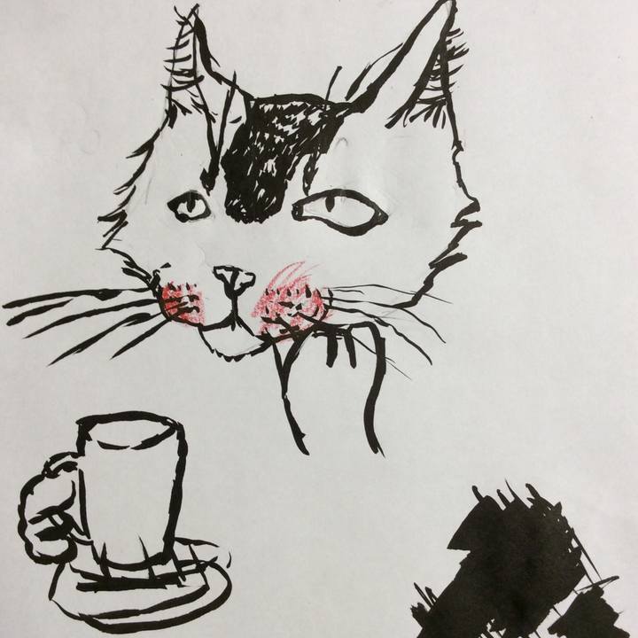 Fe795be3 6545 43aa 9518 21b8d1c03f25 1564651254350