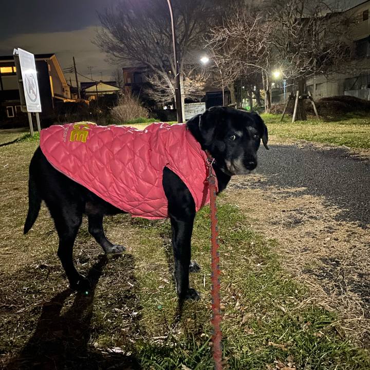 Fe79b242 c92f 4245 8289 4493a53fa291 1676550985304