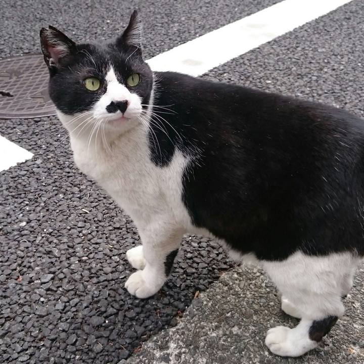 Fe79c206 ebe6 4106 bc42 324b7a8e13e6 1523672286514