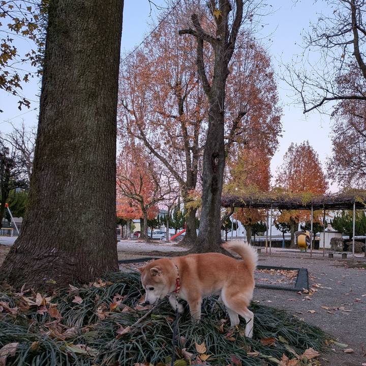 Fe79c2ae e0ee 4054 a98d cc2c22fbfc48 1765803287237