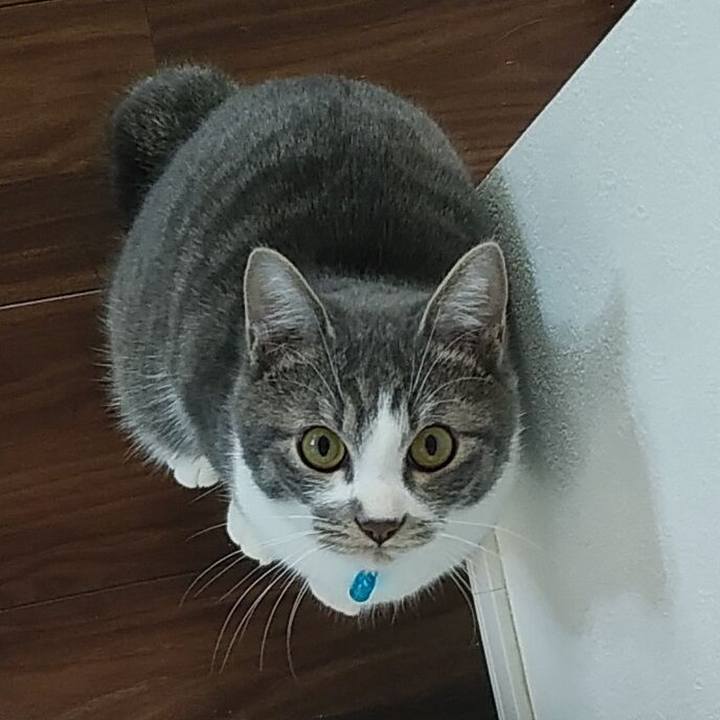 Fe79e170 ef64 4ad3 ab37 b900c0138f6b 1575071695328