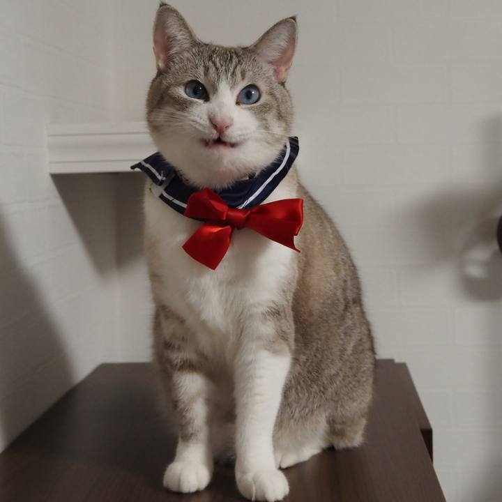 Fe79e366 75f5 4510 b2df c382648e6bc7 1607085125405