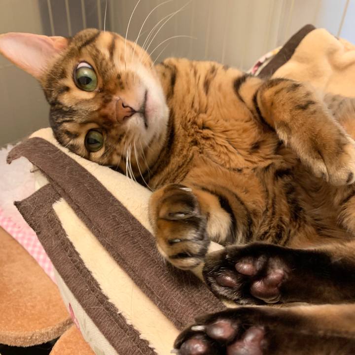 Fe79f72d d94a 4f2c 8929 3261bdb5e715 1602457824629