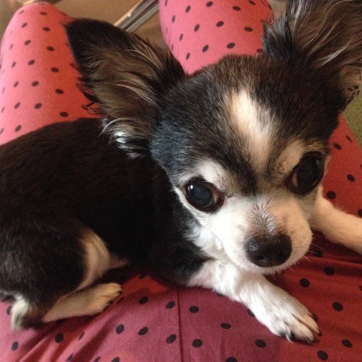 Fe7a06bc 03c7 47cf 9b42 b168717630c4 1541558239363