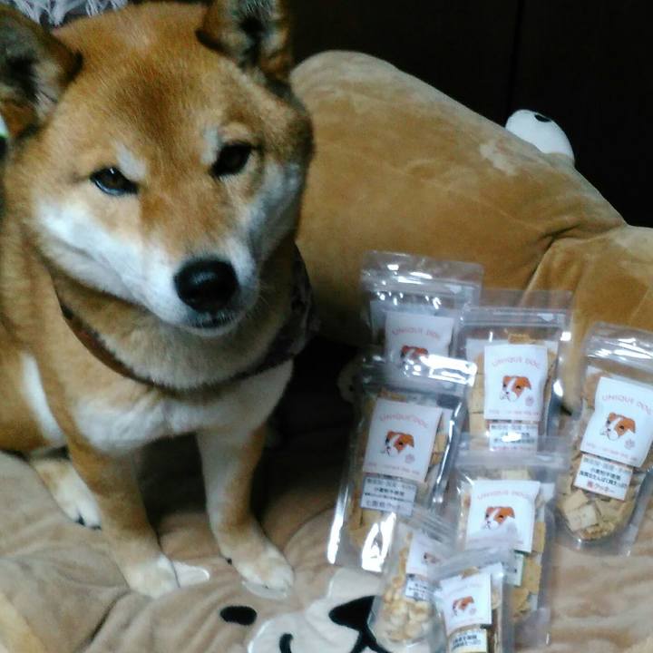 Fe7a1cfd b2db 44df 939f 6490ad46b6e8 1521527388463