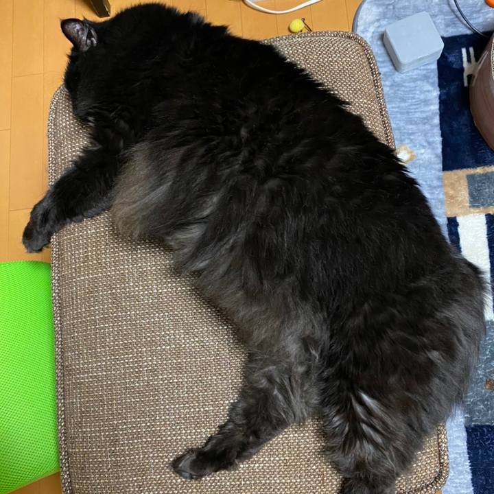 Fe7a2f00 f2c6 4507 8713 1a153cf25732 1615199010564