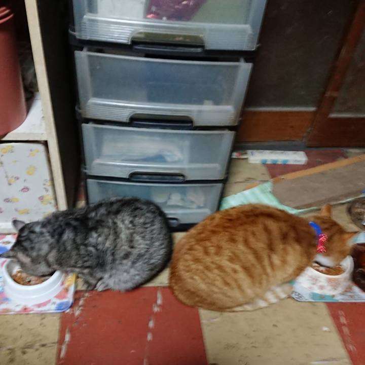 Fe7a3bb6 14bd 4999 a50a 7cfc10b712bf 1576440182713