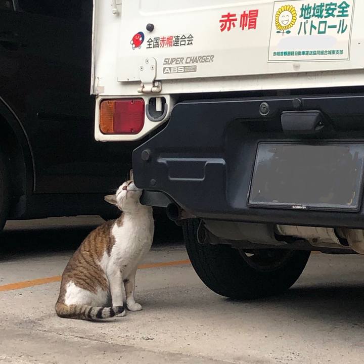 Fe7a5711 c16b 4c51 aa01 c9611f3ffbd1 1590479109882