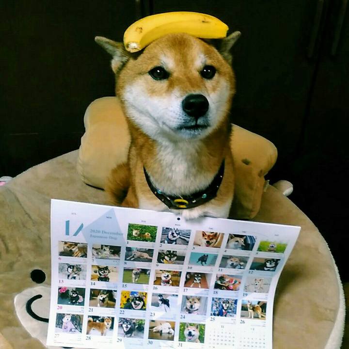 Fe7a7d94 091e 49db a1ff 97a245c04dca 1576145155138