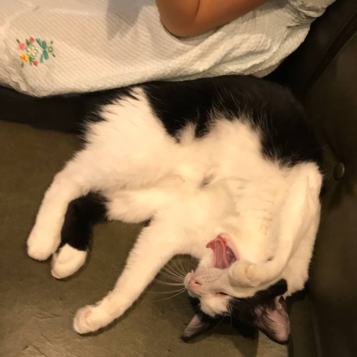 Fe7a807c b762 4a77 93b5 08a1e06ca8ae 1536309995328