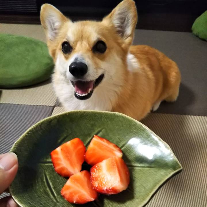 Fe7a9485 da4d 4c85 bc3b c12199d64f8d 1558278731471