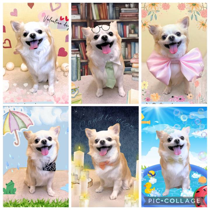 Fe7ac740 3e09 486d aa93 654050d007fa 1771135805002