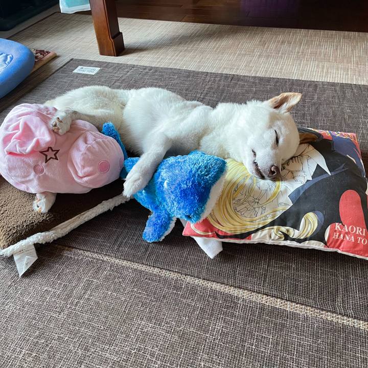 Fe7b120f abe4 4156 bcfa 9cb0a32993f7 1661244296082