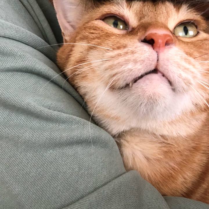 Fe7b201c 5ed8 4dfc 8043 27f76fabec32 1649546182260