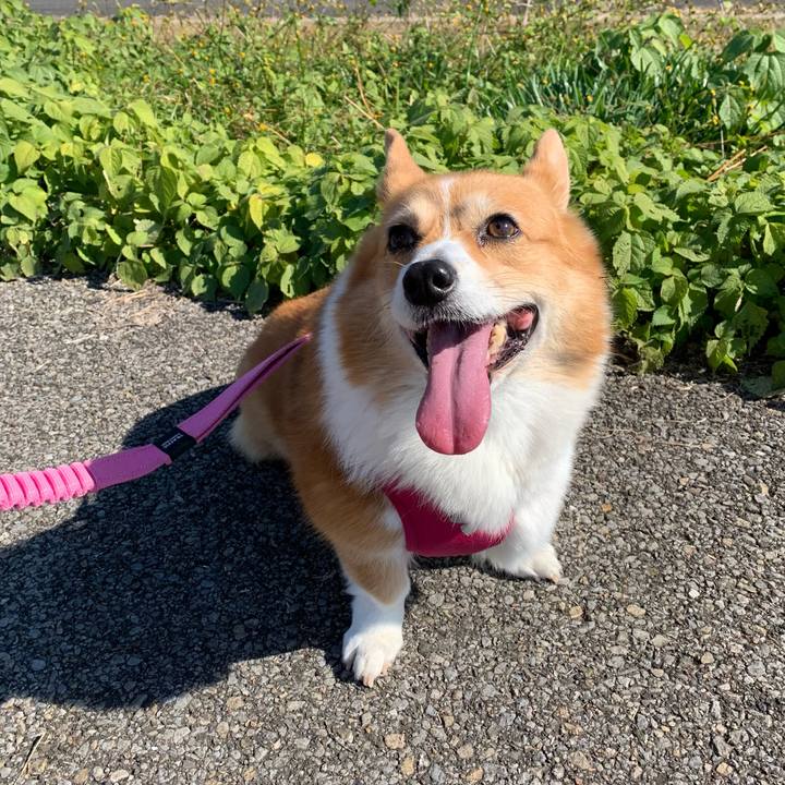 Fe7b665a 4924 4f9a b40f 7687bc7ed80f 1667880675691