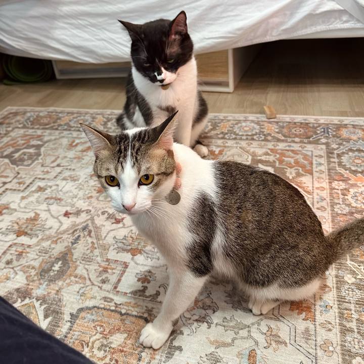 Fe7b7e46 9209 4f94 988a c965df18ef09 1772753205964