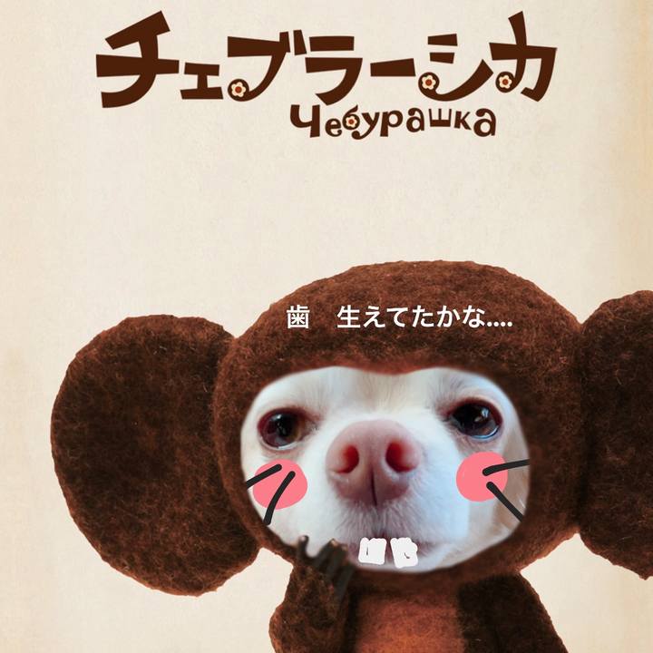 Fe7b8bb7 5df1 462a a2b1 64618f46487f 1717468118637