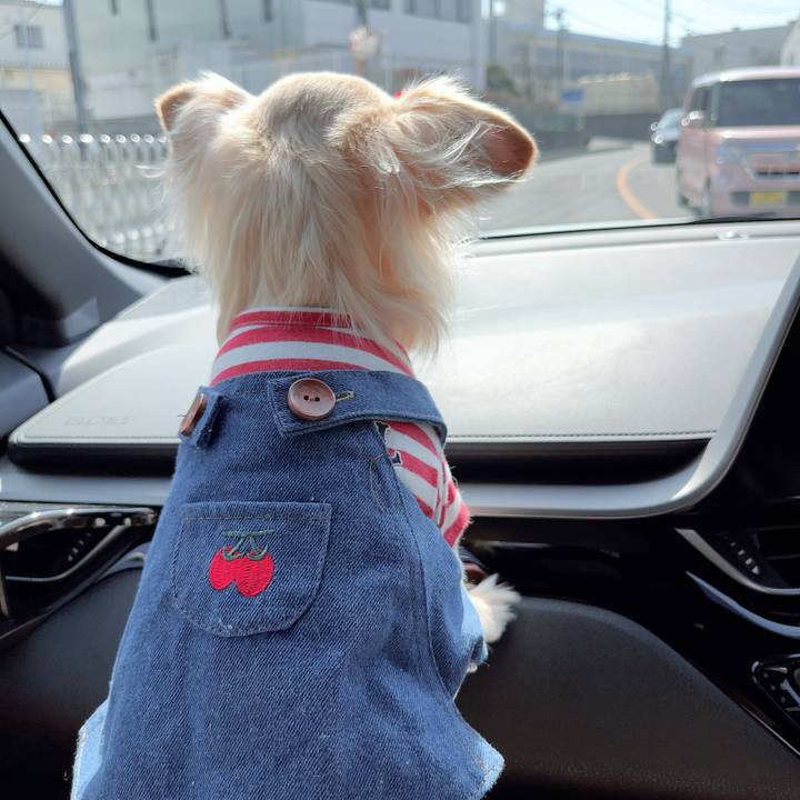 Fe7ba3b5 dfc4 4cd2 89dd 8ded895c0ba2 1710579694451