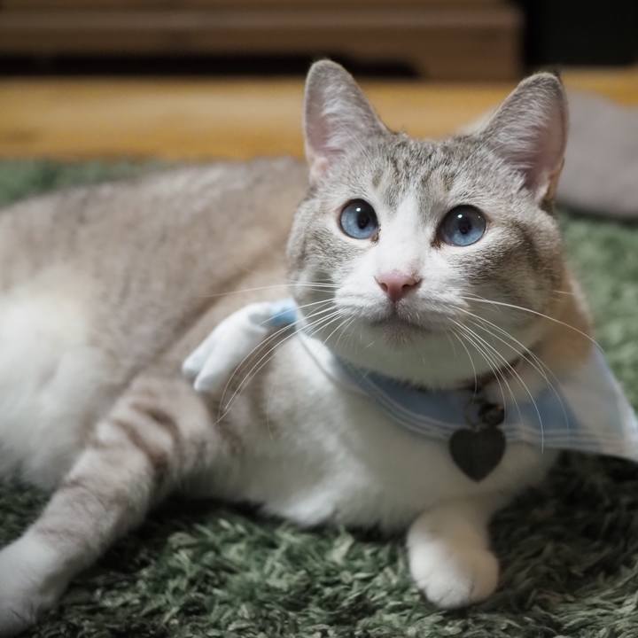 Fe7baed8 66f9 40ba bdcf f791f33b8946 1607785598813