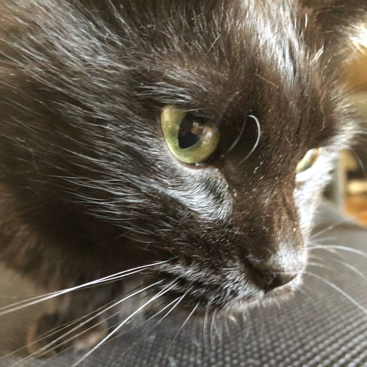 Fe7bc474 53bb 4dcb a366 050acd89f334 1630110848680