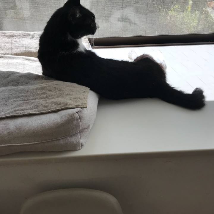 Fe7beb19 af0d 4bf2 a134 1ca360728b10 1509165208507