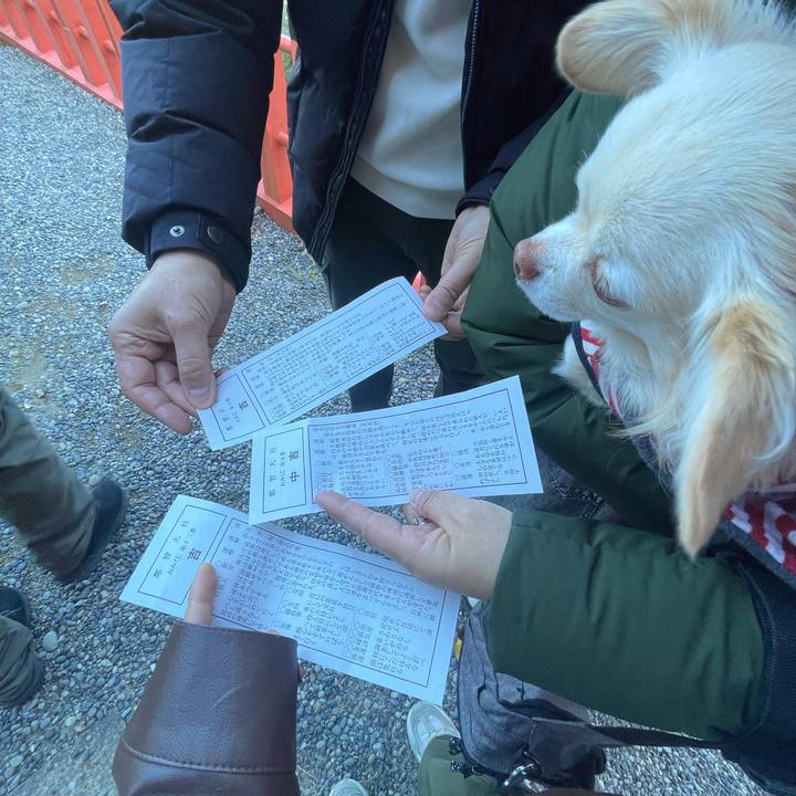 Fe7bfad7 20dc 4323 9e8e 0deb4563e172 1735783116331