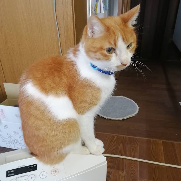 Fe7c318b 156e 434a 8ec9 d15809b91733 1646261053384