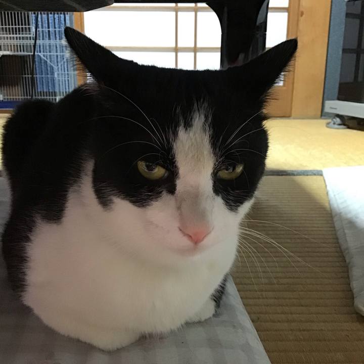 Fe7c5bb4 8812 43cb 8409 f41b16611755 1691499391523