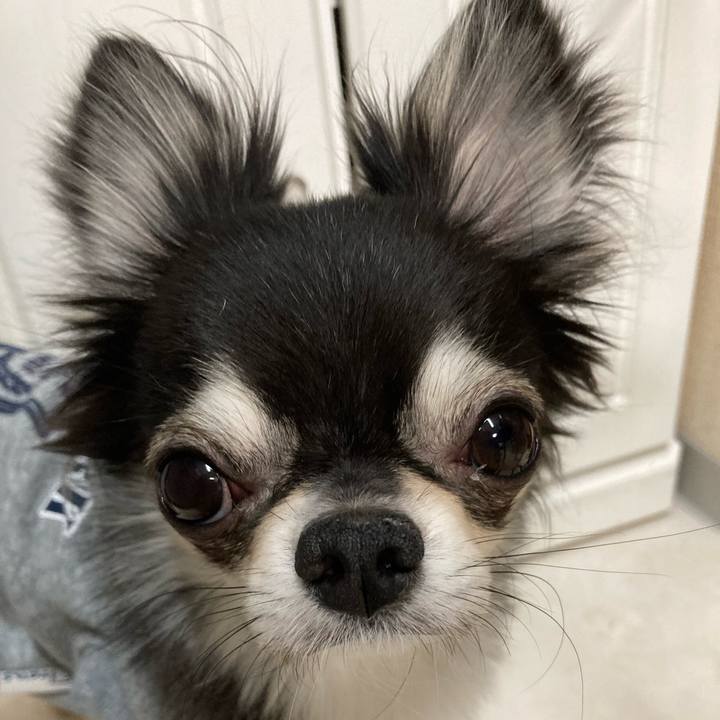 Fe7ca655 98cb 4196 8693 f1e33b8f9828 1642862355618