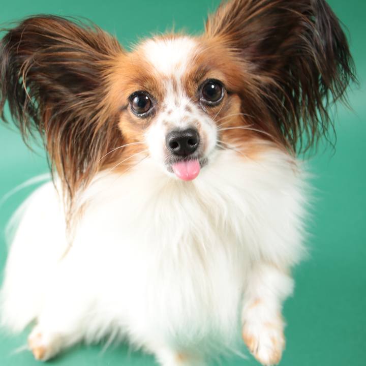 Fe7cbc1d 6c3a 4c86 ba84 a7aec8ae33c1 1512388461800